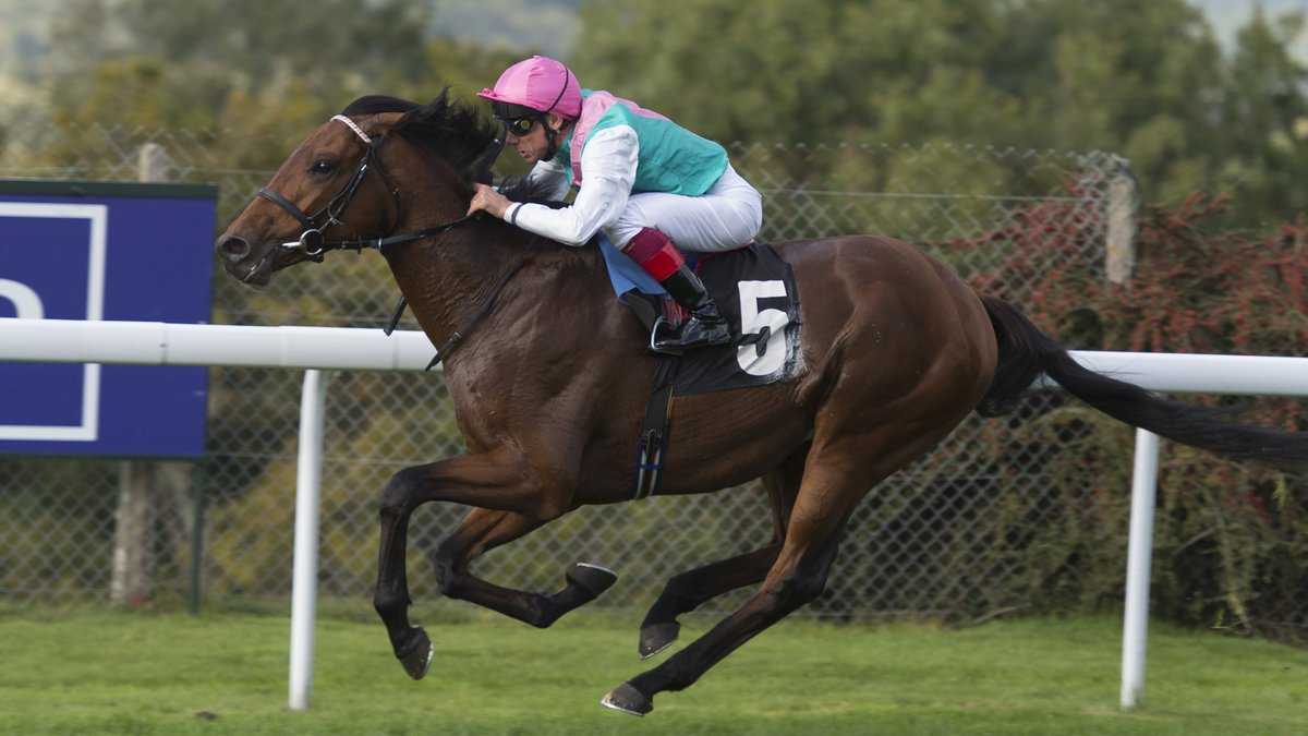 Monarchs Glen out to continue Frankel's legacy
