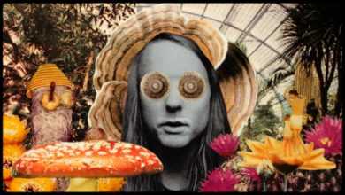 Andy Shauf releases new single 'Living Room'