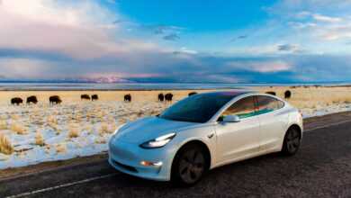 Five of the Coolest EV Cars