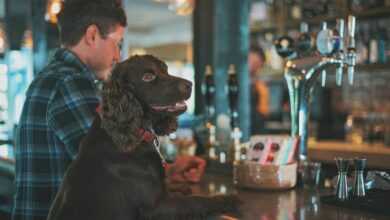 Pub Smart vs. Proper Night Out: Nailing the Dress Code Nuances for British Socialising - Unfashionablemale Pub Smart vs. Proper Night Out: Nailing the Dress Code Nuances for British Socialising